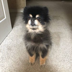 Meet your Posher, Kathy